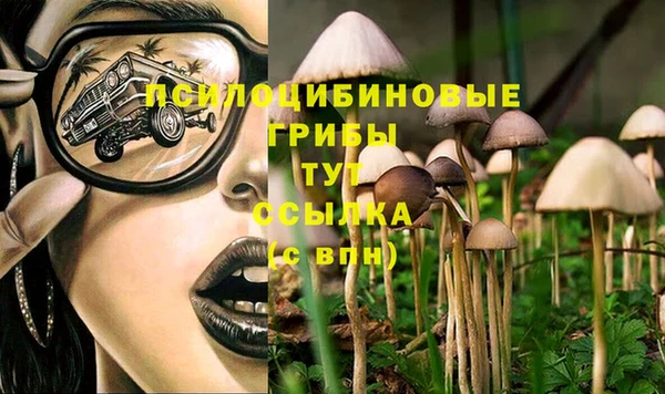марки nbome Богородицк