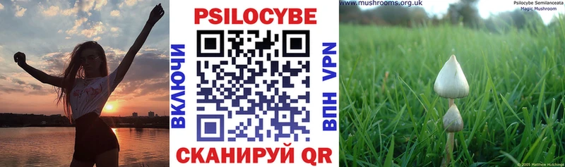 Псилоцибиновые грибы GOLDEN TEACHER  Севск 