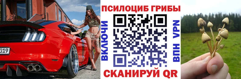 Псилоцибиновые грибы мицелий Севск